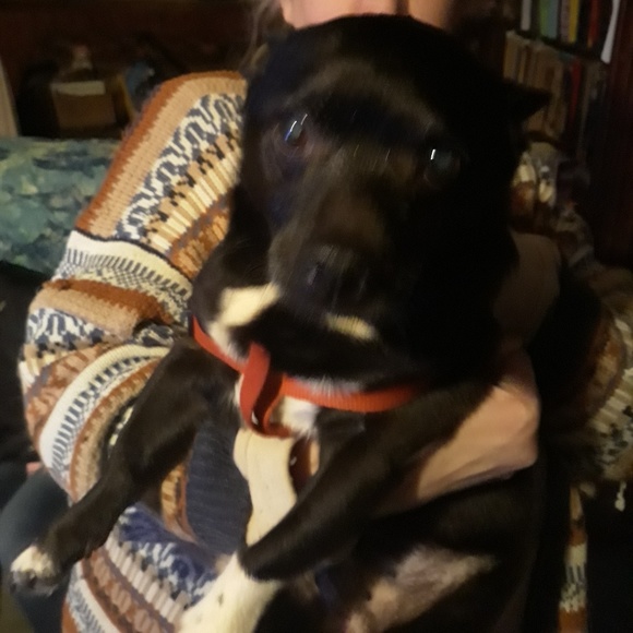 Meet your Posher, Lucida - Picture 1 of 1